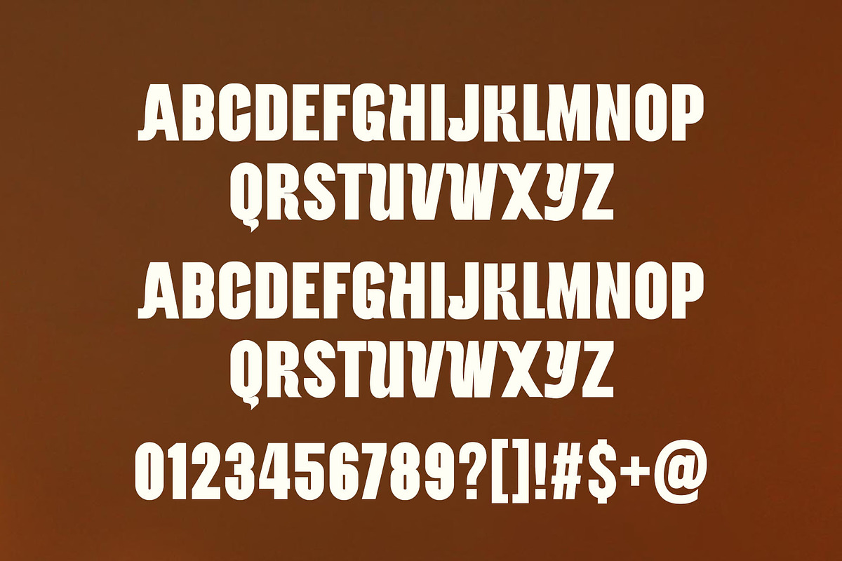 Faculty Modern and Unique Sans Serif, a Sans Serif Font by Graphicxell (Photo 11 of 11)