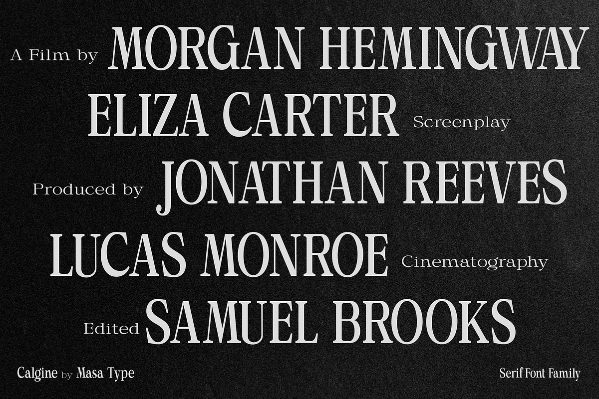 Calgine Serif, a Serif Font by MasaType (Photo 8 of 12)