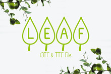 Leaf Font