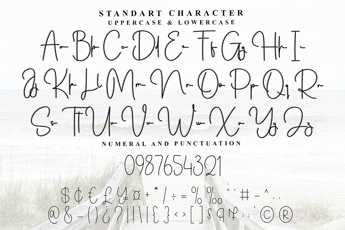 Signature Calligraph, a Handwritten Font by FreshTypeINK (Photo 2 of 8)