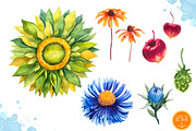 Autumn leaves. Watercolor set., a Decorative Illustration by AlexGreenArt (Thumbnail 9 of 11)