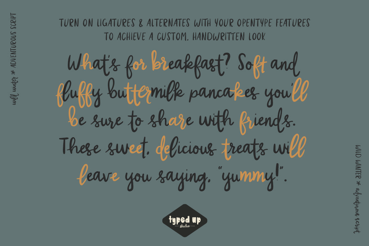 Wild Winter | Extensive Script Font, a Script Font by Typed Up Studio (Photo 8 of 16)