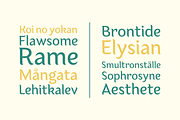 Lakshmi, a Sans Serif Font by OceaneM (Thumbnail 6 of 9)