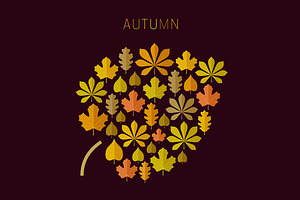 Autumn Leaf