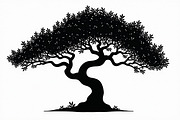Nature Tree SVG Collection, an Illustration by Amazin_art (Thumbnail 15 of 20)