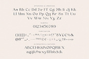 Maigre - Modern Serif, a Serif Font by Prioritype Co (Thumbnail 13 of 15)