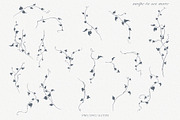 Vines Linear Clipart Kit, an Object Illustration by Sensual Art (Thumbnail 2 of 7)
