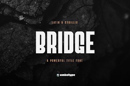Bridge Logo Font, a Sans Serif Font by alpercakici