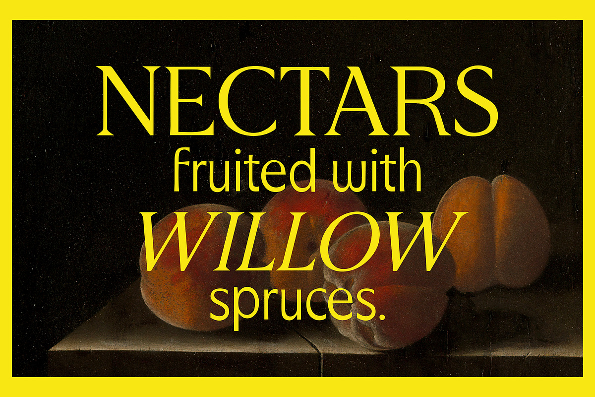 Honeyfield Serif, a Font by Press & Pen (Photo 4 of 8)
