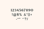 Catelyna Modern Serif Font, a Serif Font by UICreative (Thumbnail 7 of 12)