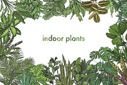 Indoor Plants VECTOR illustrations, a Seasonal Illustration by Natalka Dmitrova art (Thumbnail 6 of 16)
