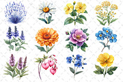 Watercolor Wildflowers Clipart, an Illustration by Dream Creation (Thumbnail 2 of 5)
