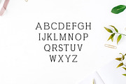 Ahijah A Clean Serif Font Family, a Serif Font by Creativetacos (Thumbnail 2 of 5)