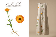 Watercolor botanical patterns, a Pattern Graphic by IrynaPanashii (Thumbnail 4 of 15)