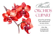 Orchids. Watercolor clipart, a Decorative Illustration by ElenazlataArt (Thumbnail 6 of 6)