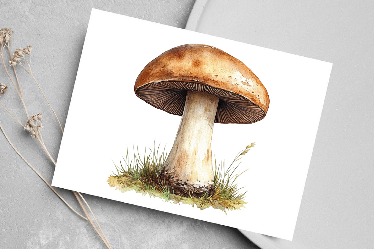 Watercolor Minimalist Autumn Clipart, an Illustration by Canvas Craft (Photo 6 of 7)