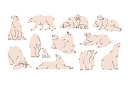 Cute white polar bears set, patterns, an Animal Illustration by PaperTrident (Thumbnail 2 of 4)