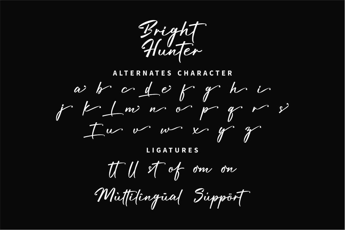 Bright Hunter - Signature Font, a Script Font by GFRcreative (Photo 4 of 5)