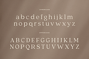 Rosan Serif - Cinematic Serif Font, a Serif Font by Hamz Studio (Thumbnail 7 of 16)