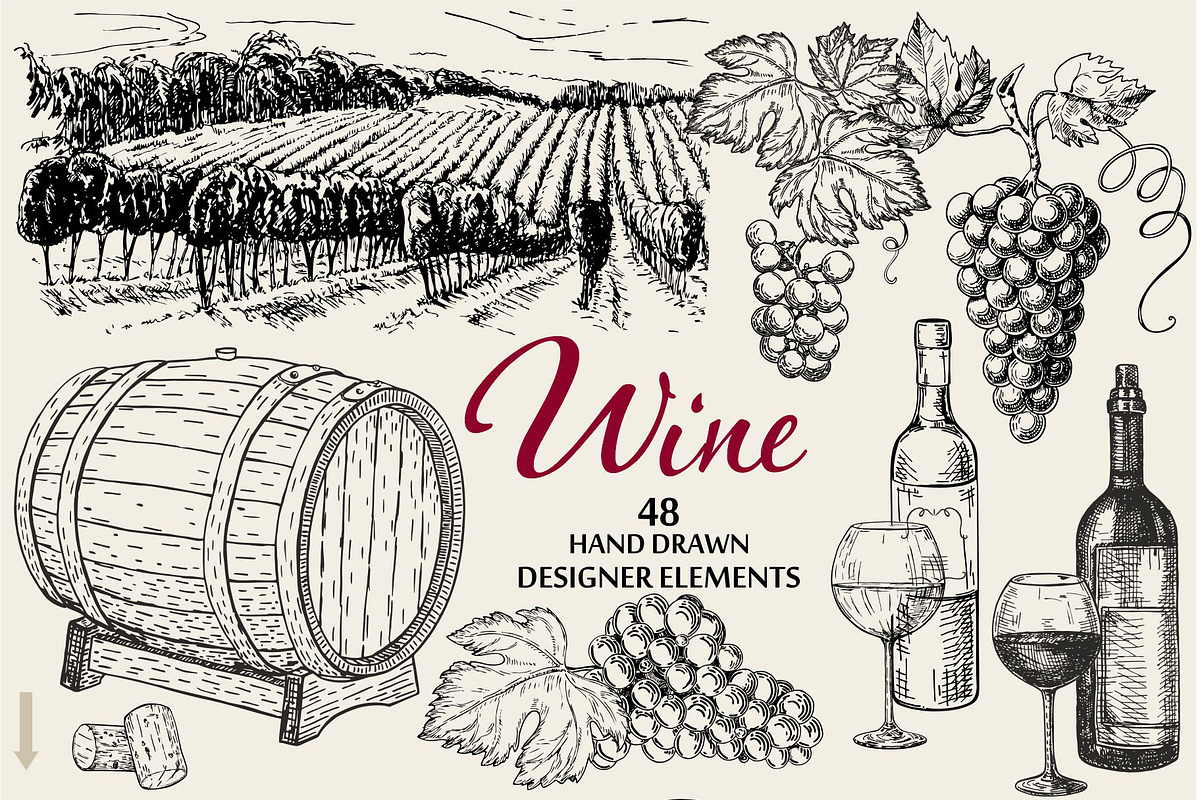 Wine & Grapes Illustations Set, a Food Illustration by Live line (Photo 8 of 9)
