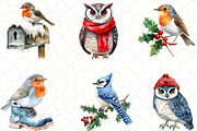 Winter Birds Christmas Clipart, an Illustration by Black Bird Studio (Thumbnail 6 of 6)