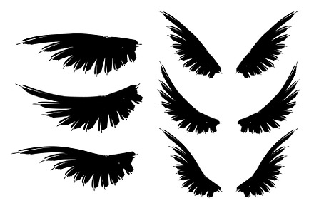 Bird wings collection.