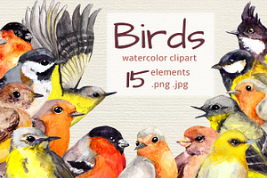 Birds watercolor clipart