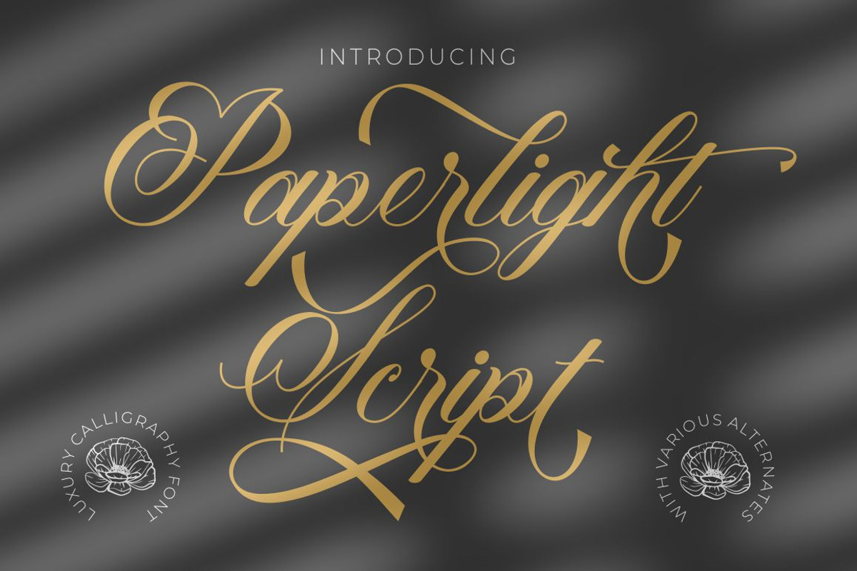 Paperlight Script - Calligraphy Font, a Script Font by PutraCetol Studio (Photo 1 of 11)