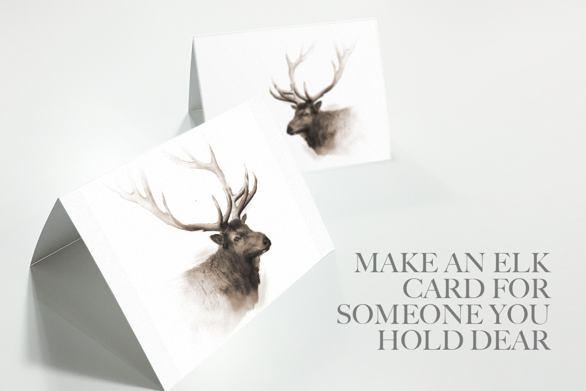 Elk Wildlife Illustration, an Animal Illustration by Digital Art Downloads (Photo 4 of 5)
