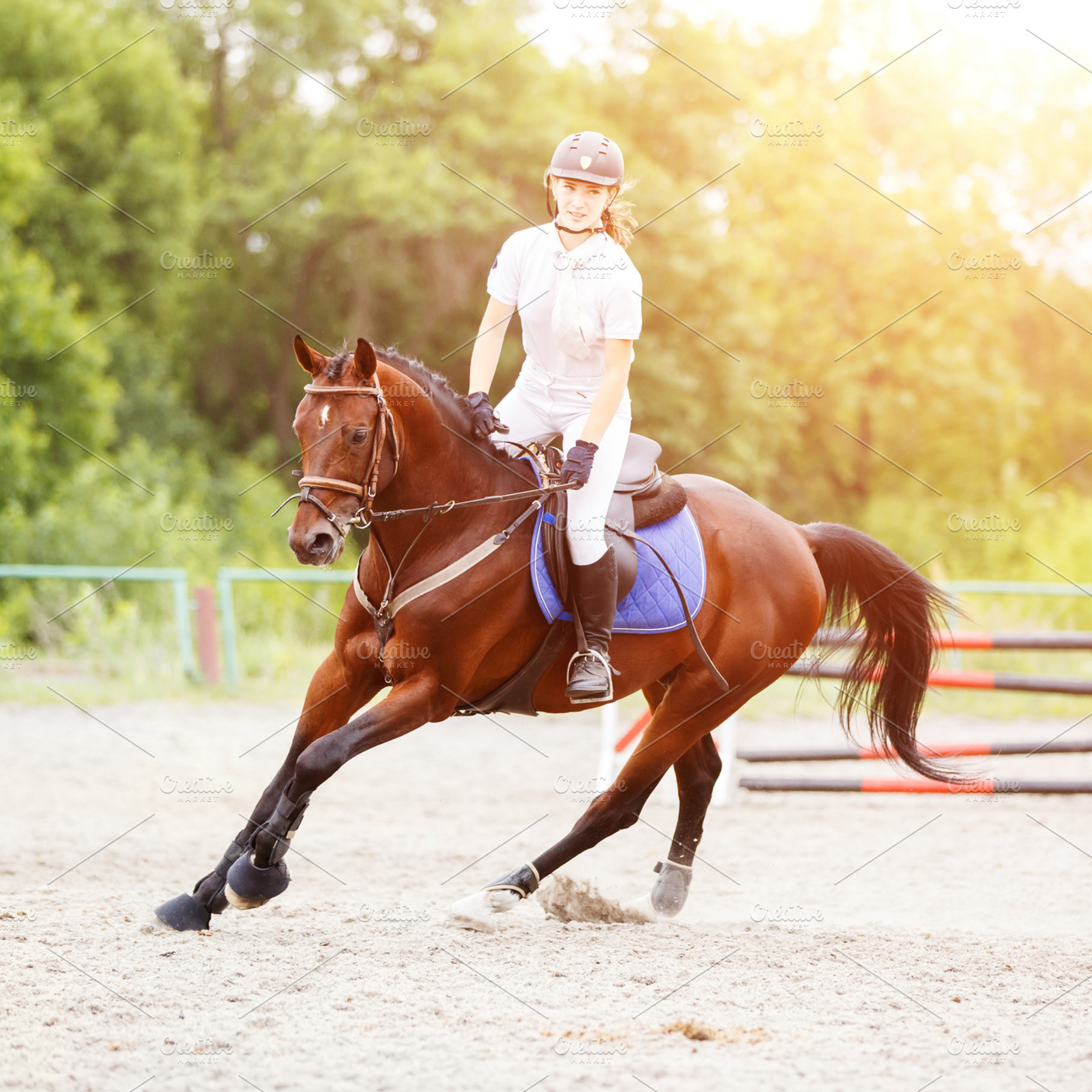 Young girl on horse at show jumping competition containing equestrian, a Person Photo by serkum