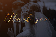 Serenity & Olivia Calligraphy Font, a Script Font by Fine Art Design Studio (Thumbnail 5 of 19)