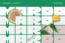 MARDO – Bold Geometric Display