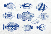 Coral gardens. Patterns collection, a Pattern Graphic by Robusta (Thumbnail 13 of 16)