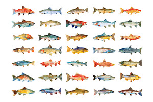 River Fishes Watercolour Icons Set, an Animal Illustration by LadadikArt