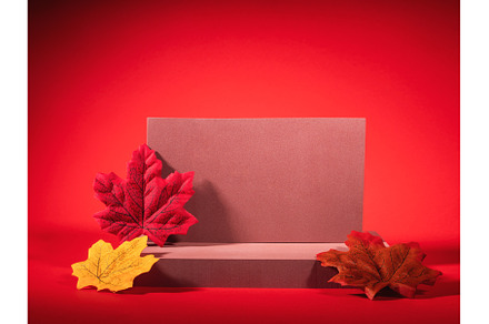 Autumn trendy background. Red and, a Holiday Photo by Lifemorning