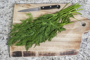 Fresh dill sprigs on wood cutting bo, a Food & Drink Photo by 1miromiro