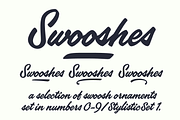 Poolside Brush Script, a Script Font by Fenotype (Thumbnail 13 of 14)