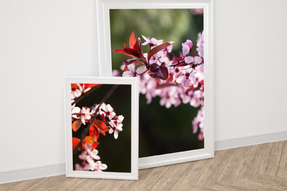 Pink Spring Flowers, a Texture Graphic by QueenDesigns (Photo 3 of 6)