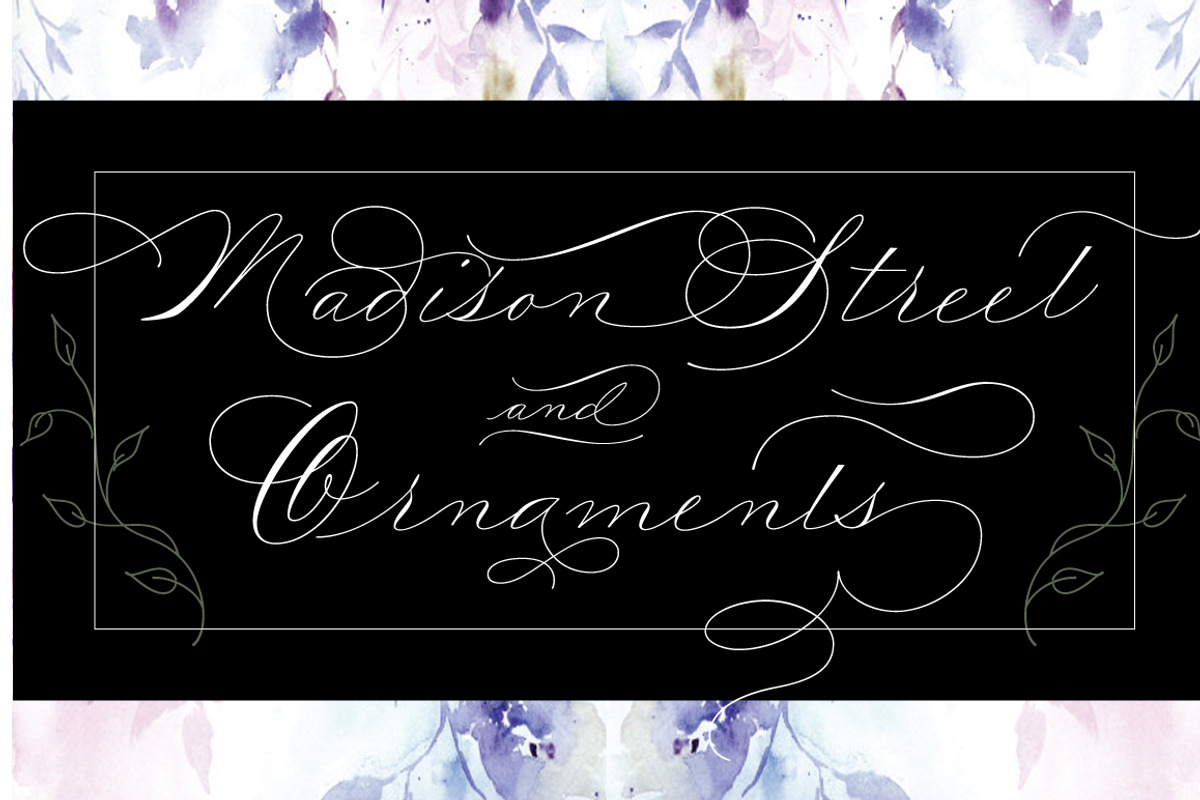 Madison Street Pro + Ornaments, a Script Font by STUDIOWAYS (Photo 1 of 4)