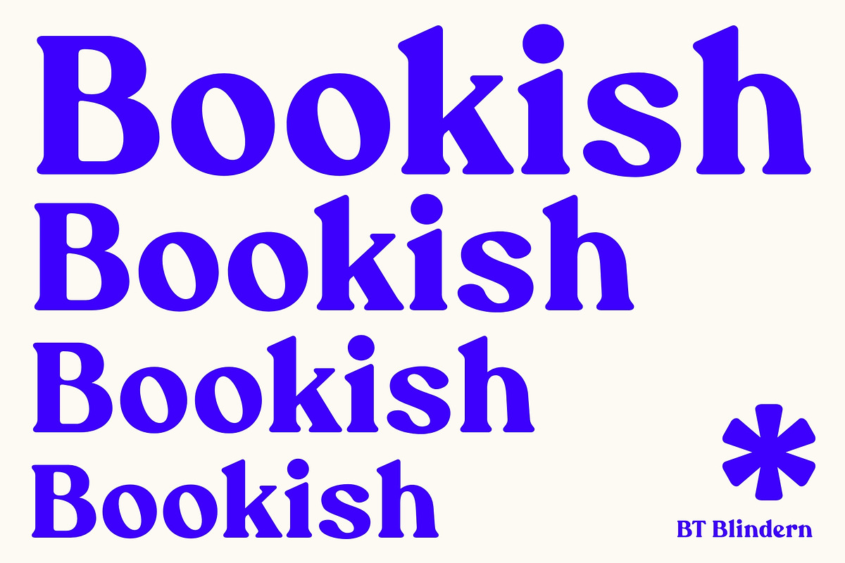 BT Blindern, a Serif Font by BadType (Photo 8 of 9)