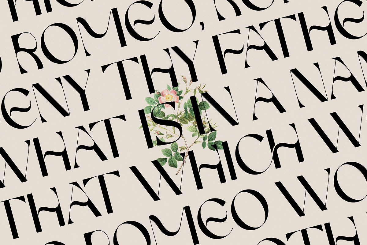 FRENCH CHATEAUX - Chic Display Font, a Sans Serif Font by SilverStag Type Foundry (Photo 15 of 22)