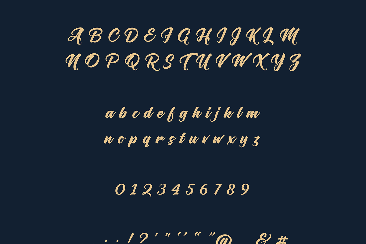 Nigolo Script Font, a Script Font by Creative Foundry (Photo 6 of 8)