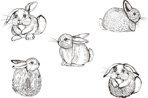 Pretty Bunnies Vector Illustrations