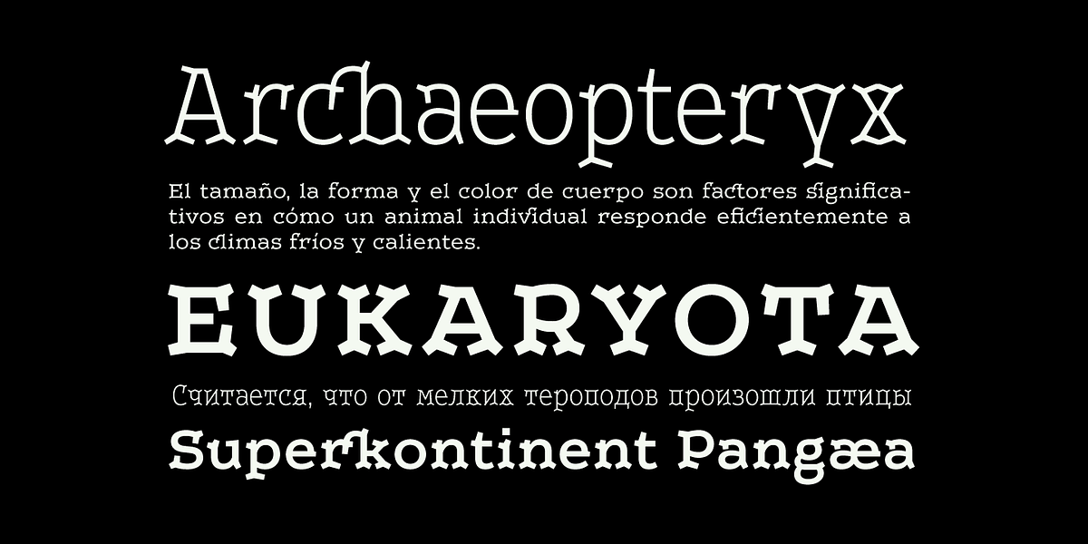Leto Two, a Serif Font by Glen Jan (Photo 7 of 10)