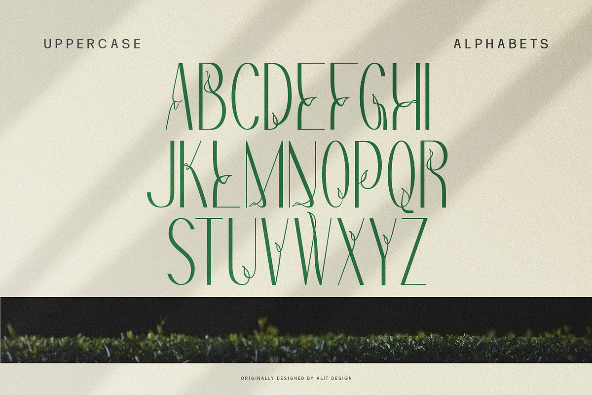 Redivola Typeface, a Sans Serif Font by alit design (Photo 6 of 15)