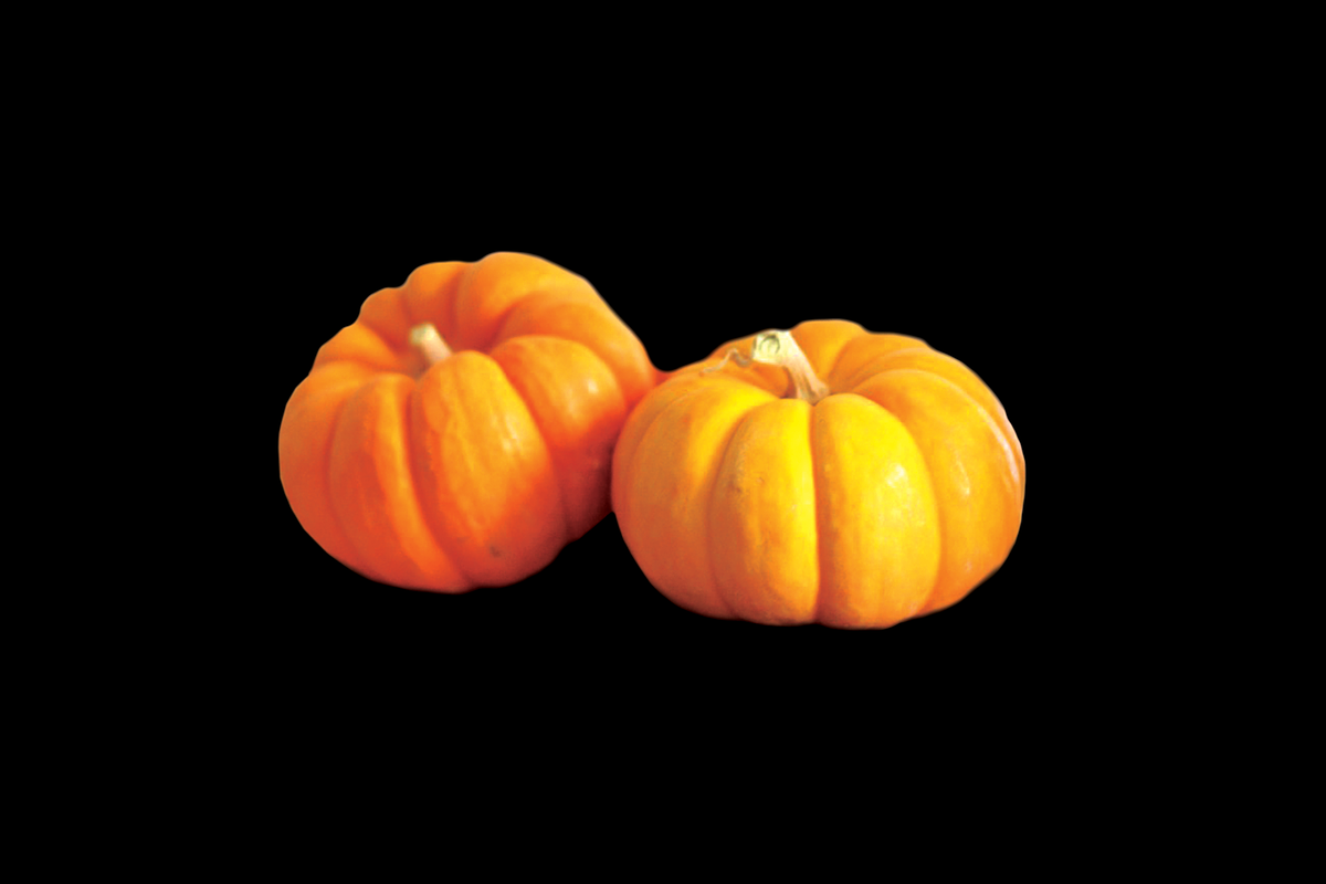 2 Pumpkins, side-view, a Food & Drink Photo by Professional Assets (Photo 3 of 3)