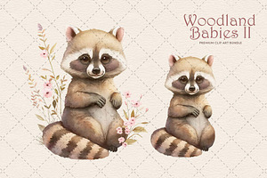 Woodland Animals II