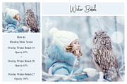 30 Winter Bokeh Overlays, a Texture Graphic by LovePhotoMoment (Thumbnail 8 of 11)