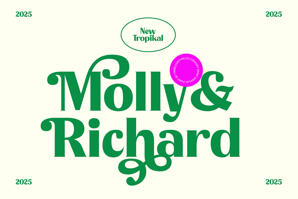 Agorey Dalling Groovy Retro Serif, a Serif Font by timelesstype.co (Photo 4 of 20)