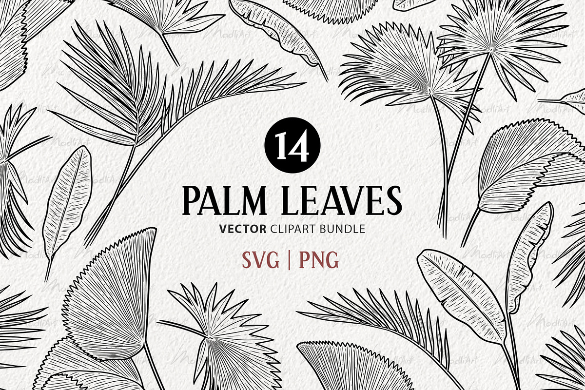 Palm Leaves Vector Line Art Set, an Illustration by MadliArt (Photo 1 of 4)